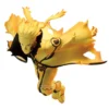 Banpresto Vibration Stars VI: Naruto Shippuden - Uzumaki Naruto